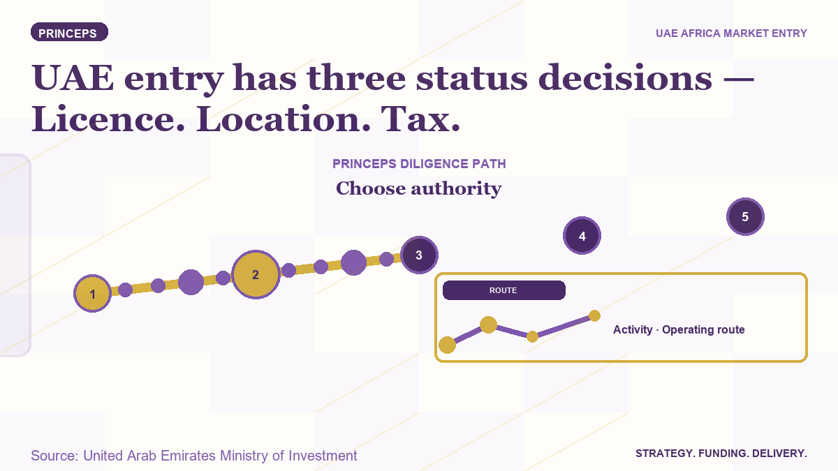 PRINCEPS UAE market-entry banner mapping activity through licence, location and tax-status decisions.