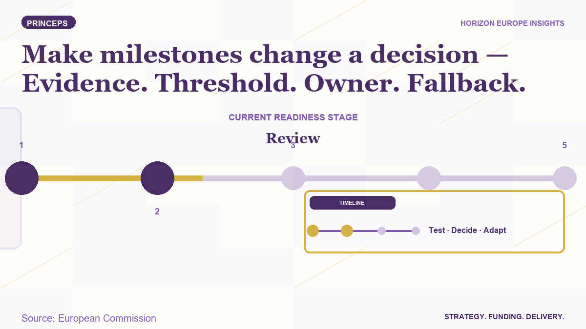 PRINCEPS milestone banner showing evidence, decision and adaptation along a project timeline.